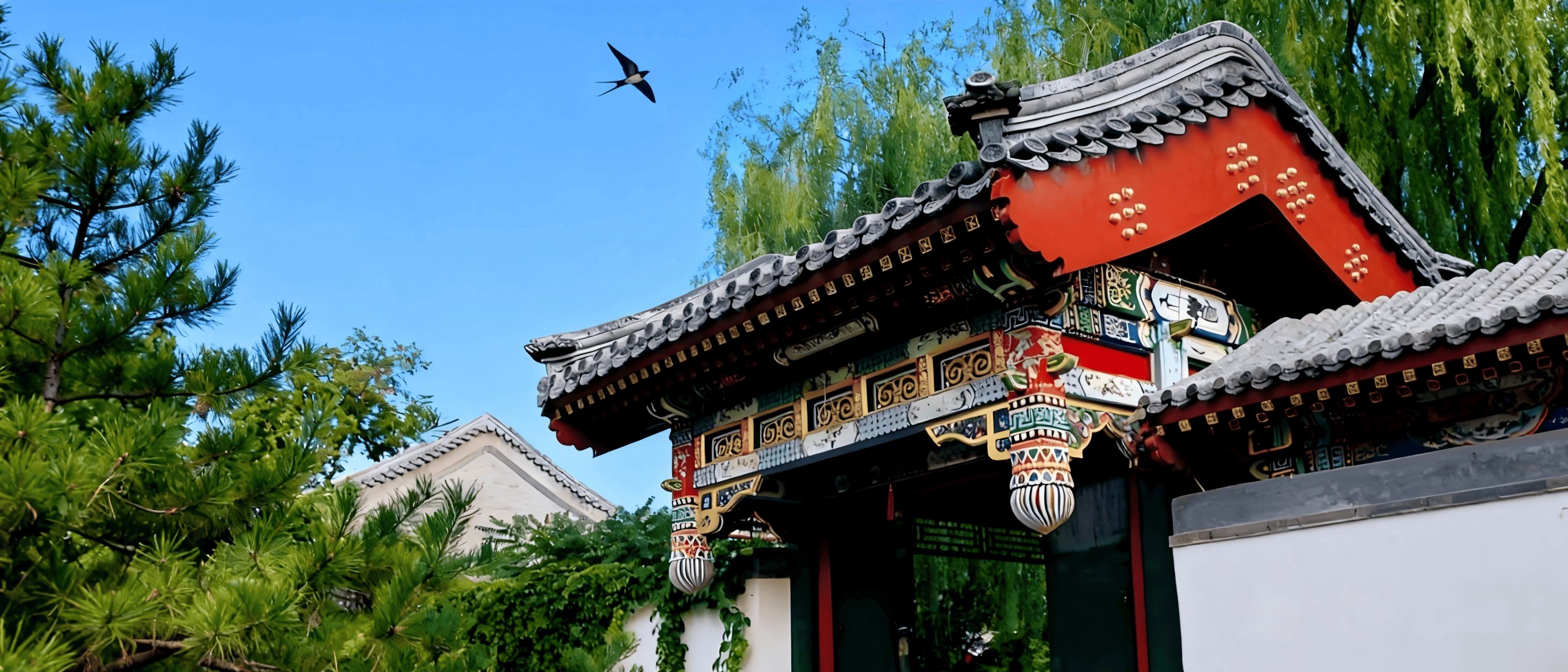 Traditional Chinese Medicine family home visit and cultural experience for foreigners